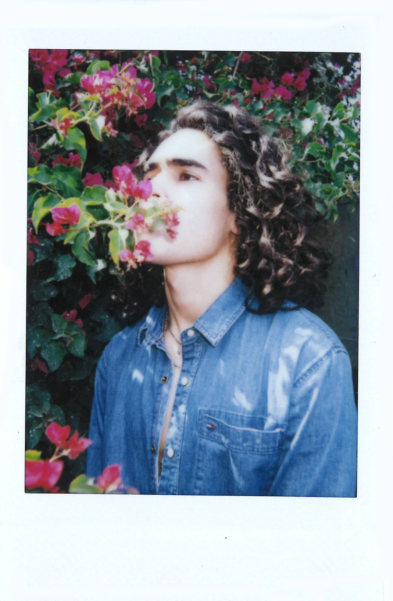 Polaroid of a curly-haired man in a denim shirt beside pink bougainvillea